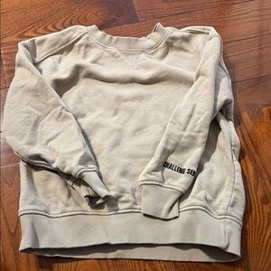 Zara Kids Beige Sweater